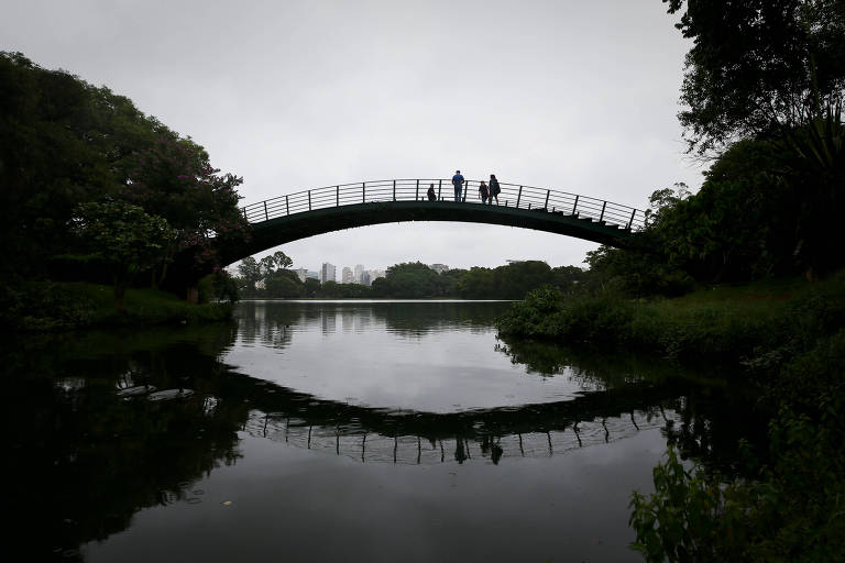 Ibirapuera concedido