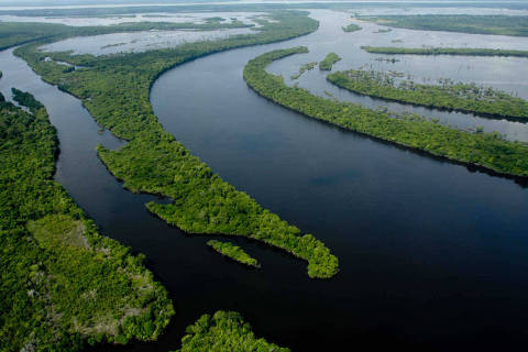 Turismo 24.09.2015 - Vista aérea de Anavilhanas, arquipélago fluvial no Amazonas; no alto, à esq., boto no parque nacional. (Foto: Alberto César Araújo - 13.set.11/Folhapress)