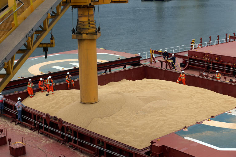 Funcionários do porto de Santos carregam de soja navio rumo à China