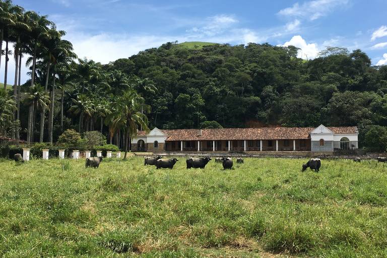 Vale do Café (RJ)