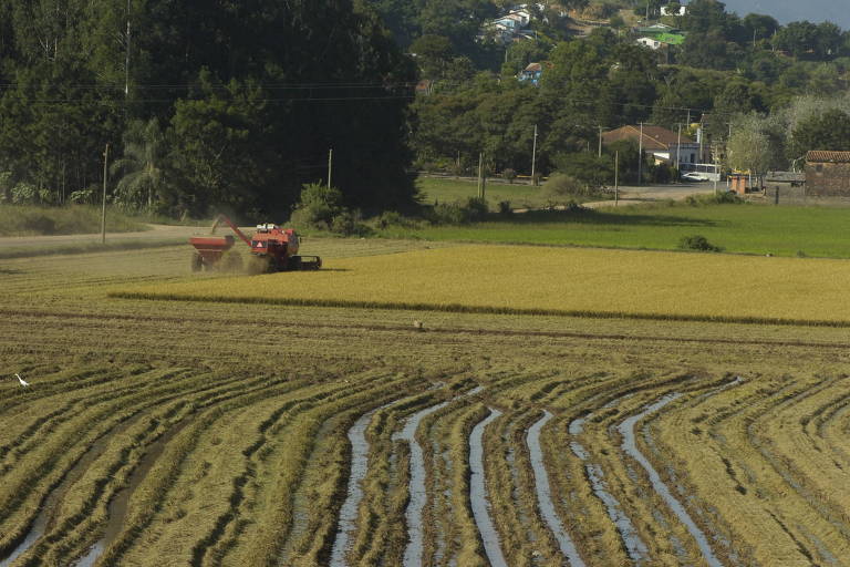 Colheita de arroz, na cidade de Dona Francisca (RS)