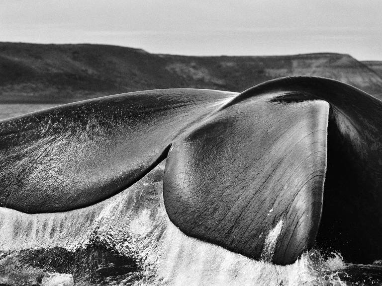 Gênesis - Sebastião Salgado