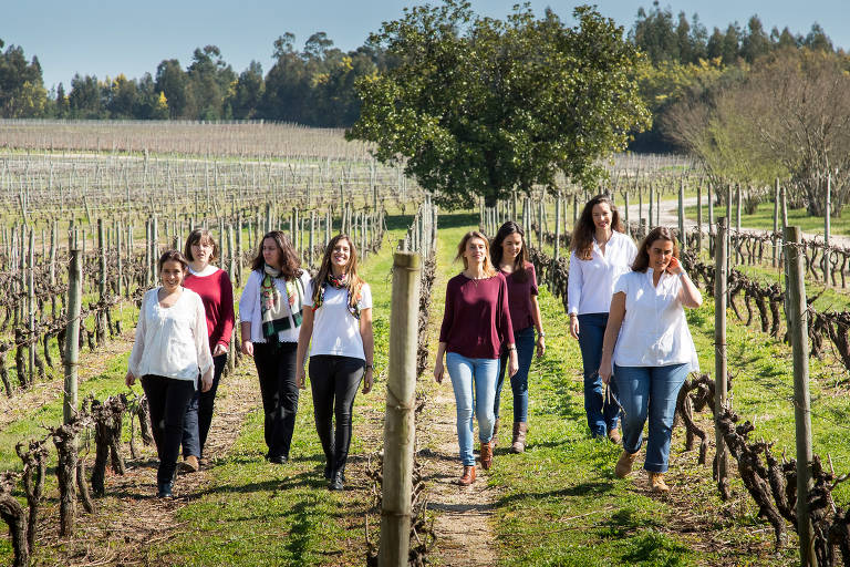 Portuguesas formam aliança feminina de produção de vinho