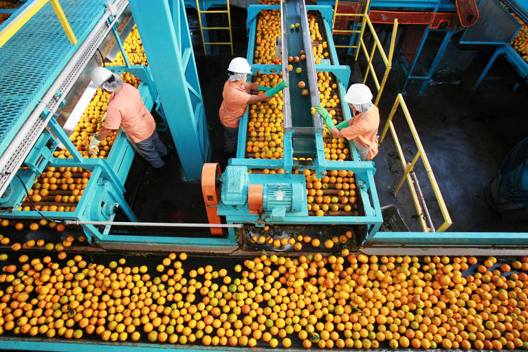 Gigantes do suco de laranja viram réus em ação na Justiça que cobra R$ 12,7 bi por cartel