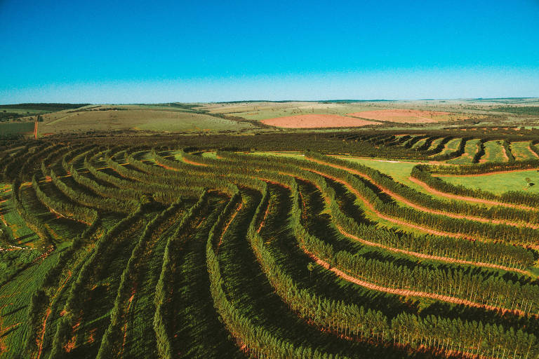 Vista aérea de fazenda no oeste paranaense