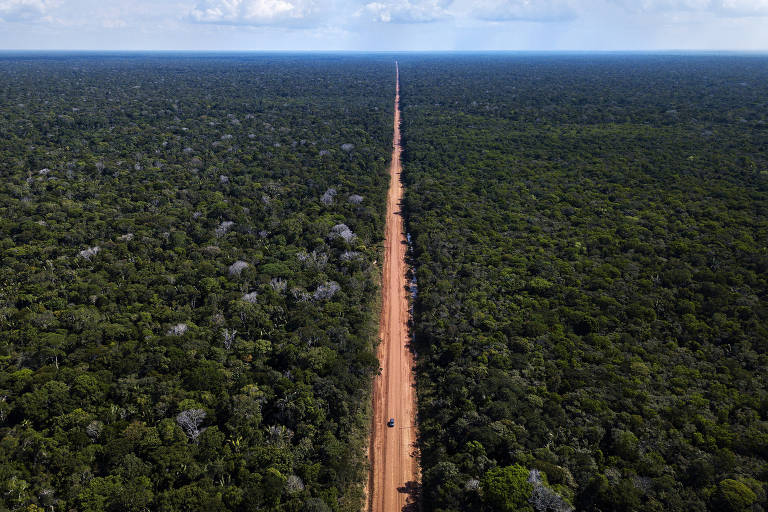 Vista aérea de uma estrada de terra cercada de floresta