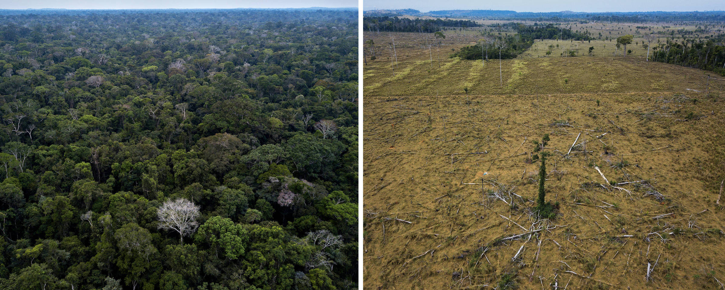 Montagem mostra região da Floresta Nacional Bom Futuro em Rondônia e área desmatada na APA do Rio Pardo