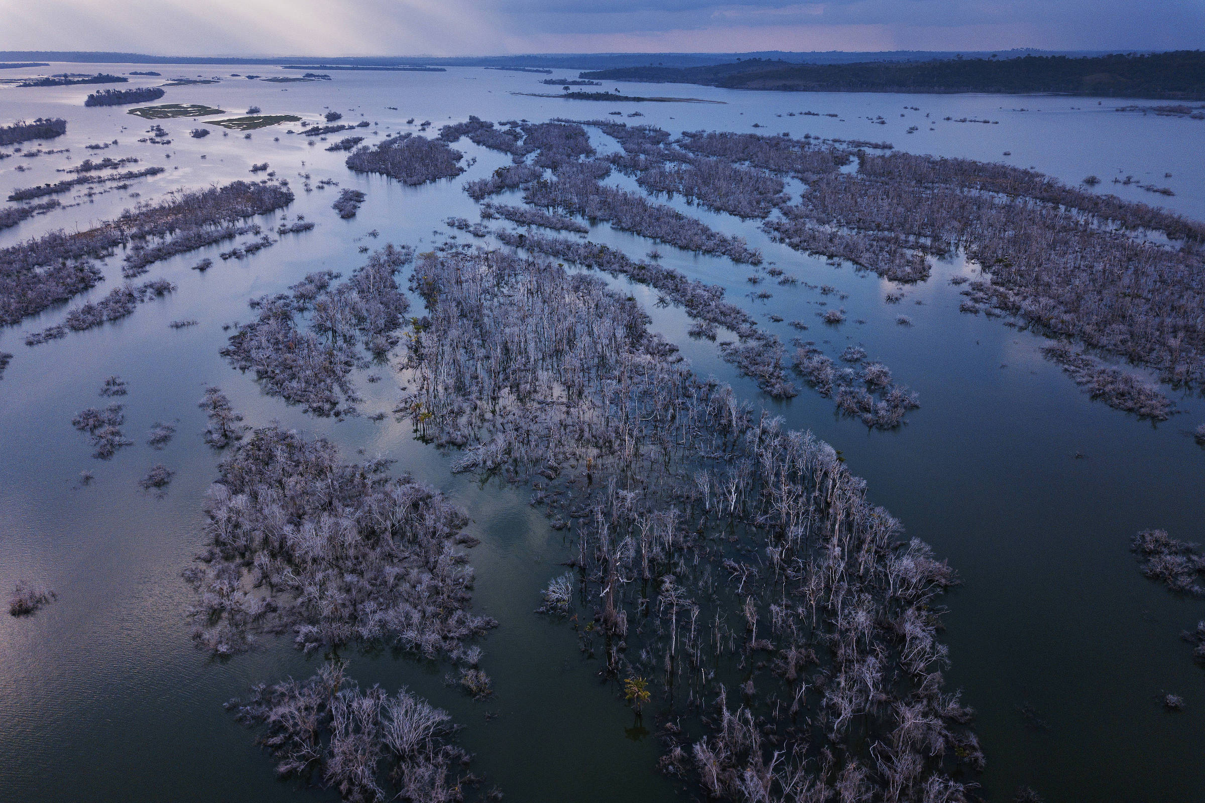 Vegetação morta que cobria ilhas do rio Xingu, próximos a Altamira, que foram inundadas pelo reservatório da hidrelétrica de Belo Monte