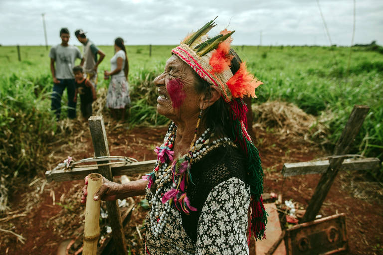 Demarcação de terras indígenas - MS 