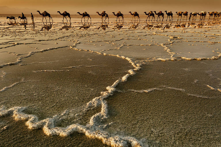 Com fotos da África, italiano ganha prêmio de melhor fotógrafo de viagem