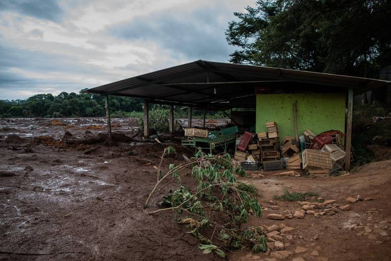 Lama da barragem de Brumadinho (MG) destrói casas e hortas na zona rual