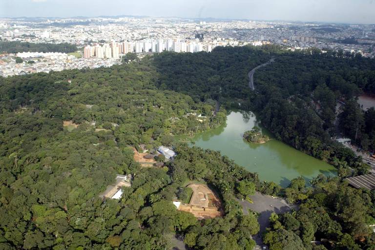 Macaco é diagnosticado com febre amarela no zoológico de SP