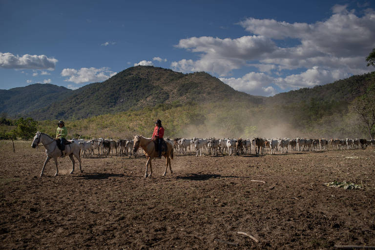 O agro na Terra Indígena Raposa Serra do Sol