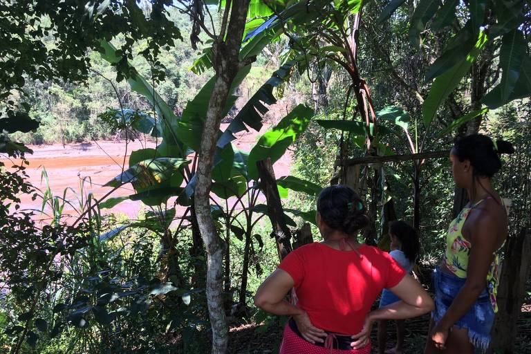 Desaparecidos de Brumadinho