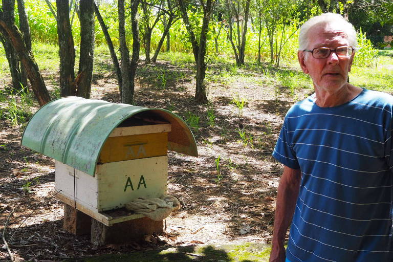 'A natureza é perfeita, o homem é que é um sem vergonha', diz apicultor octogenário