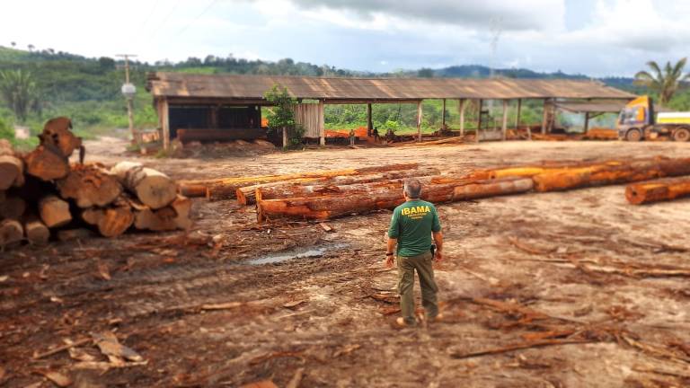 Ibama faz apreensão de madeira ilegal proveniente de terras indígenas do Pará