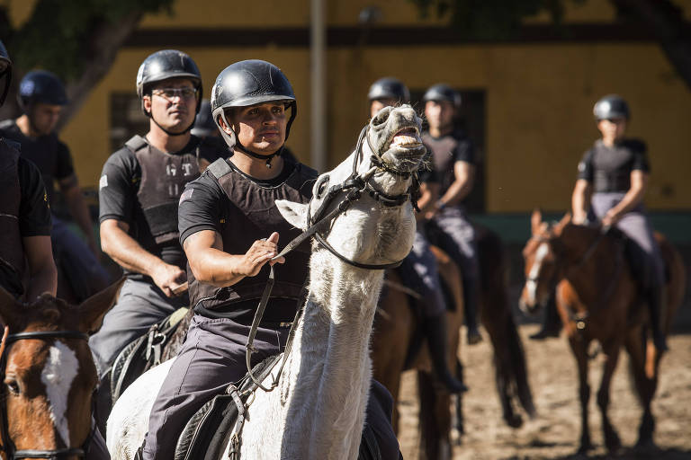 Os cavalos da Polícia Militar de São Paulo