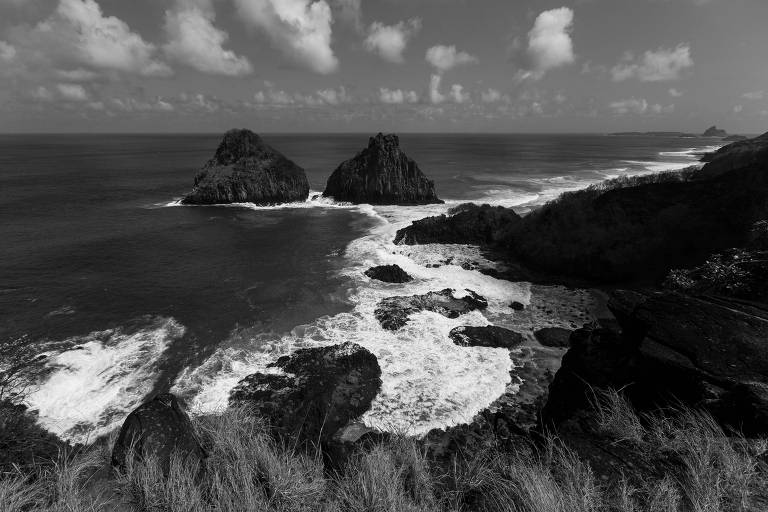 O barato de Noronha