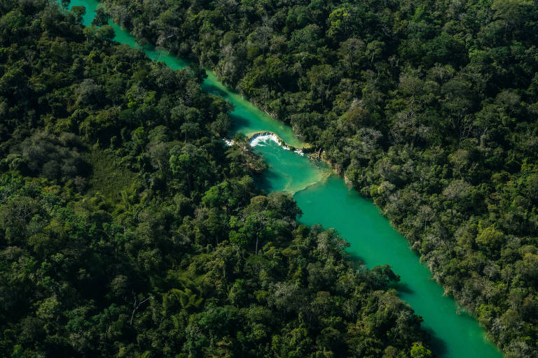 Fotógrafo registra o Pantanal de norte a sul