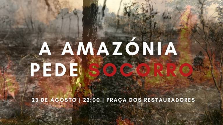 Protestos pela Amazônia na Europa