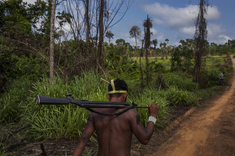 Abandonados pelo governo federal, índios xikrin retomam área de grileiros no PA