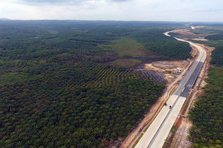 Área apontada para abrigar a nova capital da Indonésia, na ilha de Bornéu