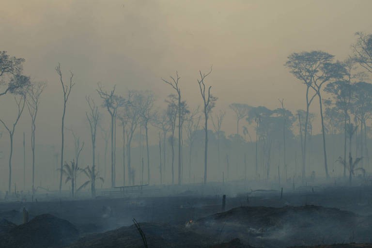 Fumaça cobre parte da floresta amazônica às margens da BR-317, em Xapuri, no Acre
