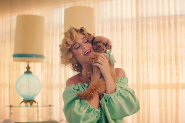 Katy Perry coloca seu cãozinho Nugget para estrelar novo clipe de 'Small Talk'