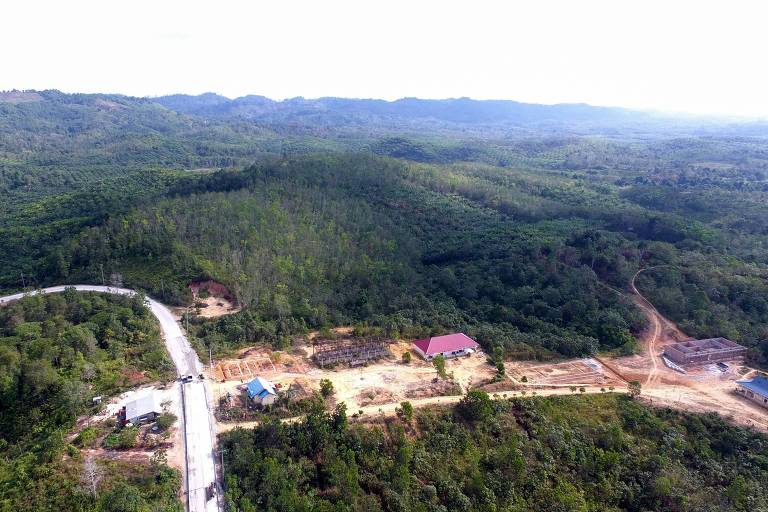 Área na Ilha de Bornéu onde o presidente da Indonésia, Joko Widodo, anunciou que construirá a nova sede do país
