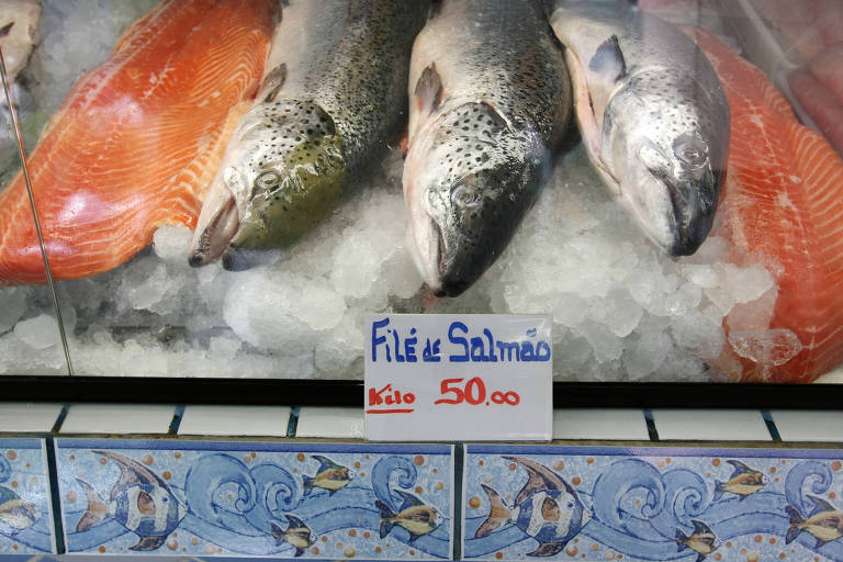 Salmão à venda em peixaria 