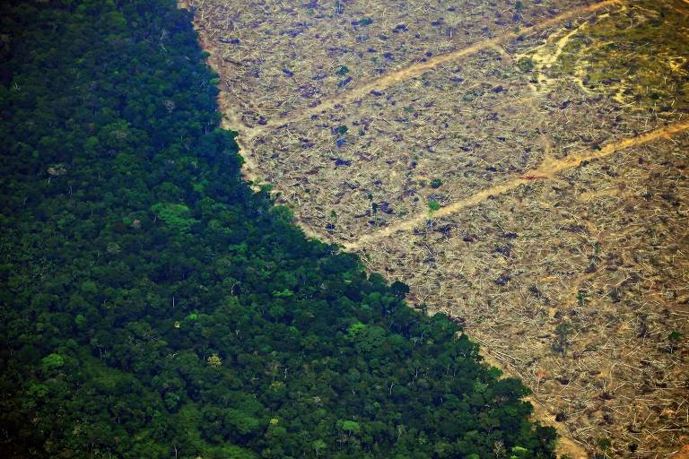 Área de floresta ao lado de área desmatada