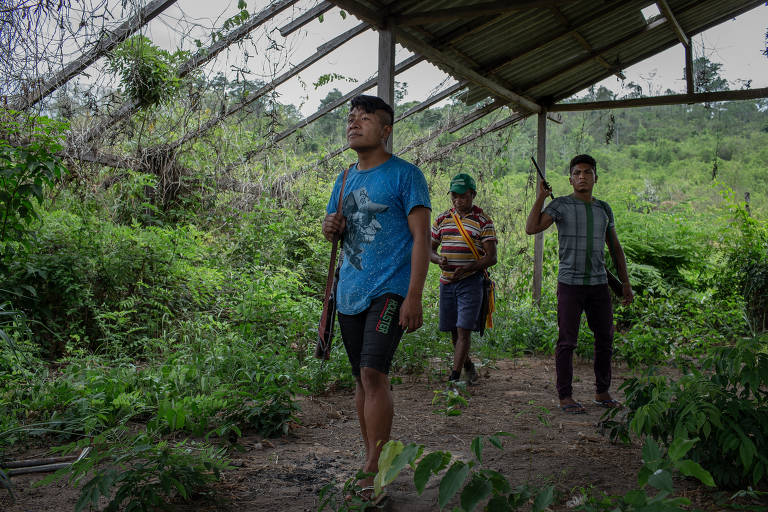 Terra Indígena Arariboia, no Maranhão, tem grupo de 'guardiões da floresta'