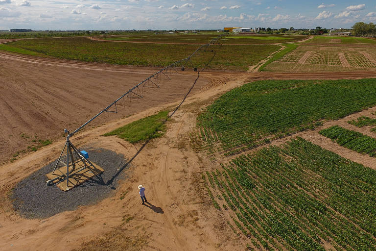 Centro de pesquisa e tecnologia do oeste baiano realiza estudos sobre o uso de pivô de irrigação em terras destinadas à soja no Matopiba