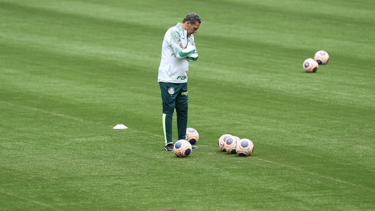 Medo e ciência na polêmica do gramado sintético