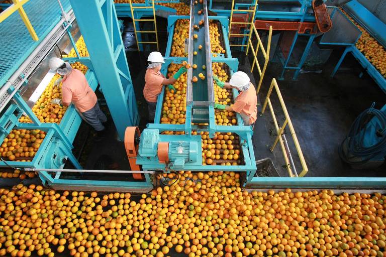 Preço do suco de laranja dispara, e consumidor busca alternativa