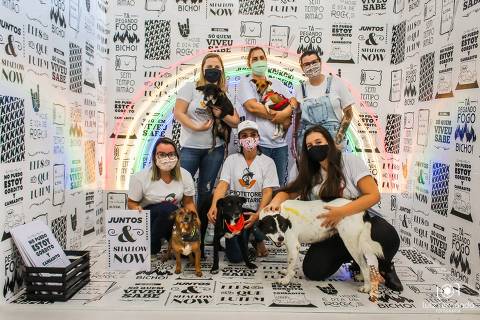bom pra cachorro - Cães resgatados viram modelos em campanha de adoção