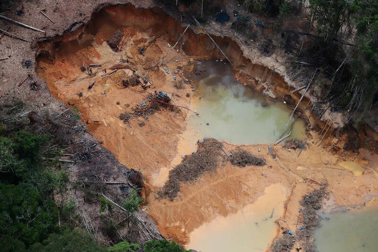 Combate ao crime na Amazônia exige incentivos à floresta em pé