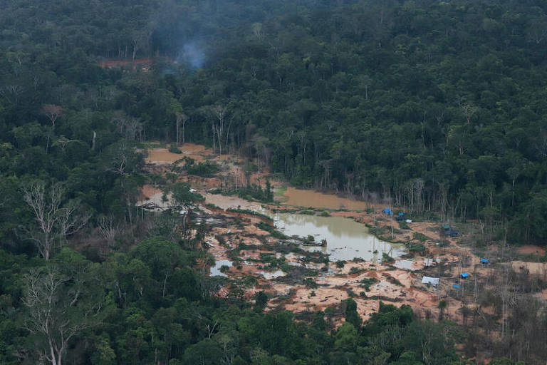 Imagens aéreas mostram garimpo ilegal na Amazônia