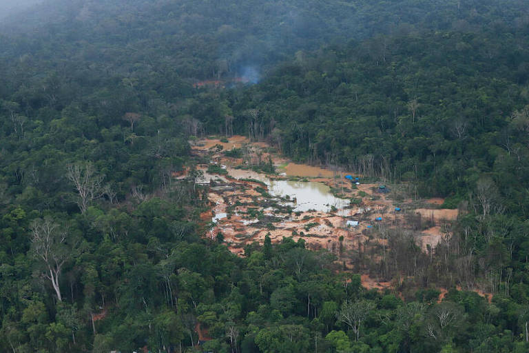 Imagens aéreas mostram garimpo ilegal na Amazônia