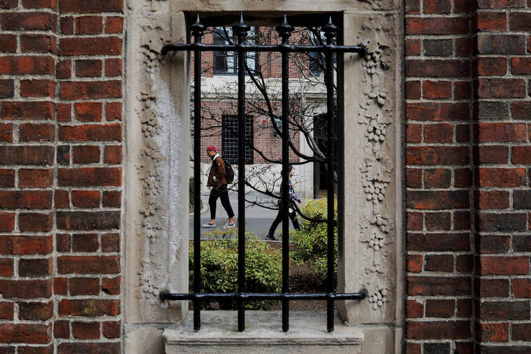 Estudantes caminham em jardim da Universidade Harvard, em Cambridge, no estado de Massachusetts