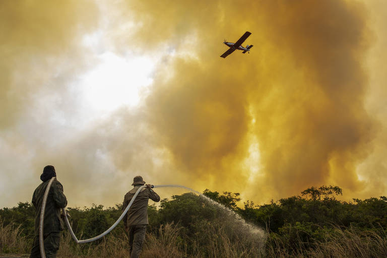 Queimadas em Mato Grosso