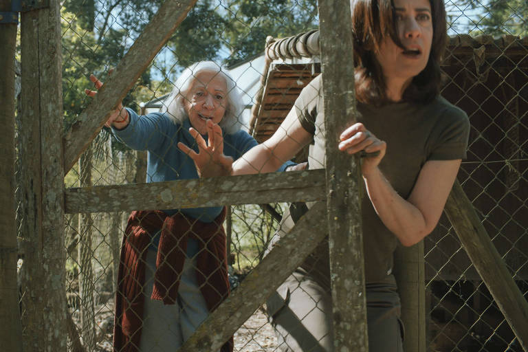 Fernanda Montenegro e Fernanda Torres vivem mãe e filha em quarentena na TV