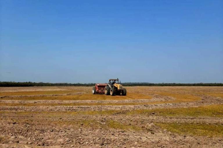 Com safra menor, estoques de alimentos básicos recuam neste ano