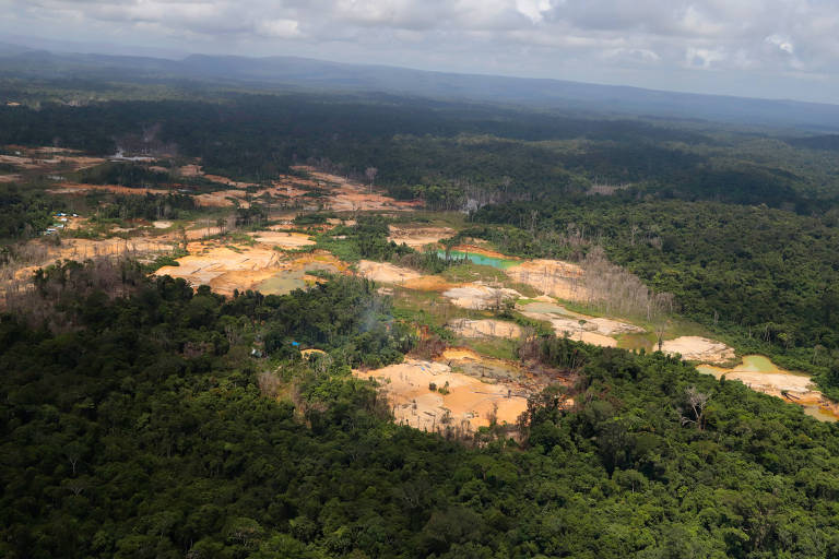 Floresta cravejada de áreas abertas para mineração