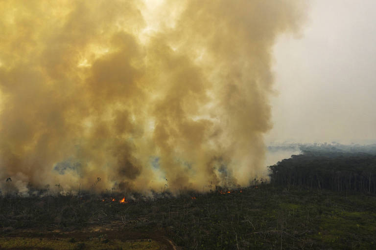 STF determina plano do governo contra incêndios no pantanal e amazônia