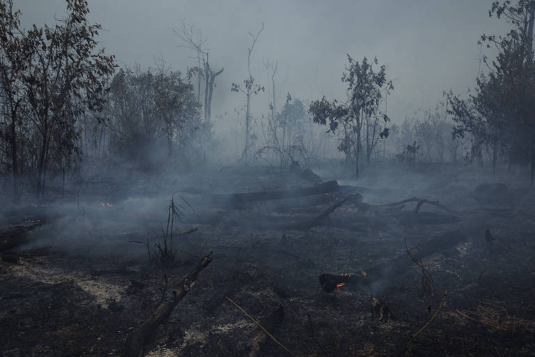 Queimada em uma área na zona rural de Apuí, no sul do Amazonas