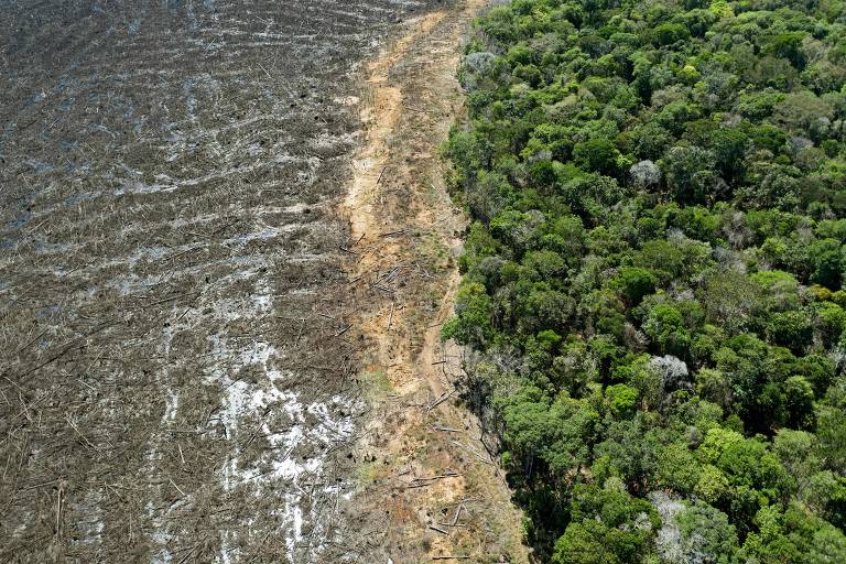 Exportações criam boom de prosperidade no 'Nortão' de Mato Grosso