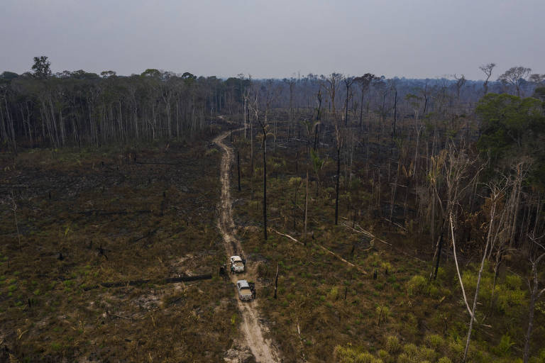 E-mails mostram desavenças e acusações entre empresas após geração de créditos de carbono suspeitos