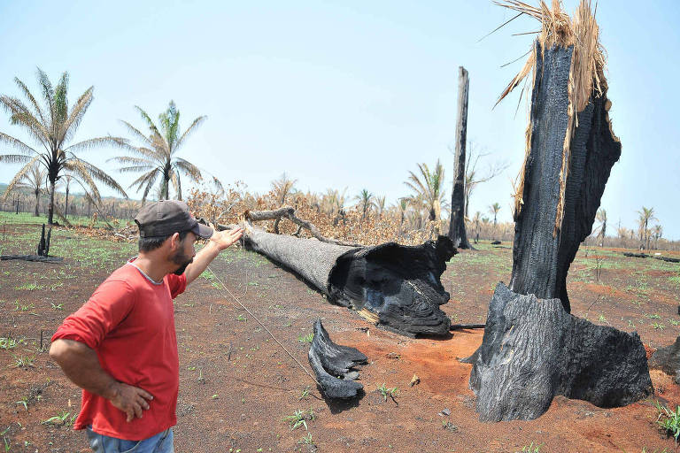 Morador diante de um tronco de árvore queimado e cortado