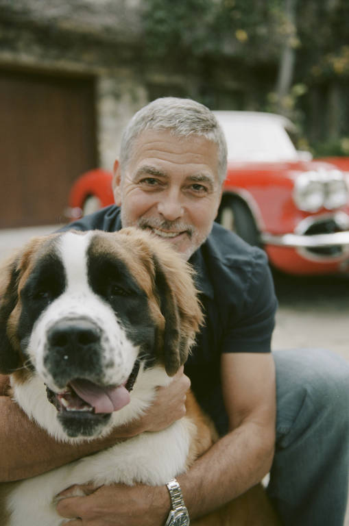 Veja fotos de George Clooney